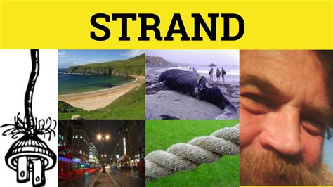 freeporn strand|'stranded' Search .